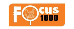 Focus 1000